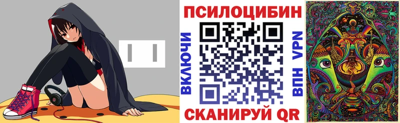 Галлюциногенные грибы Psilocybine cubensis Староминская